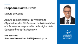 SSC format carte d'affaire avec photo